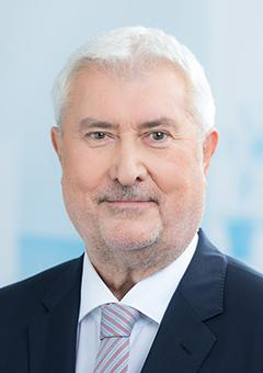 Dr. Vitányi István